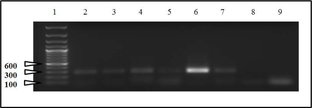 Viruses 05 02005 g002 1024