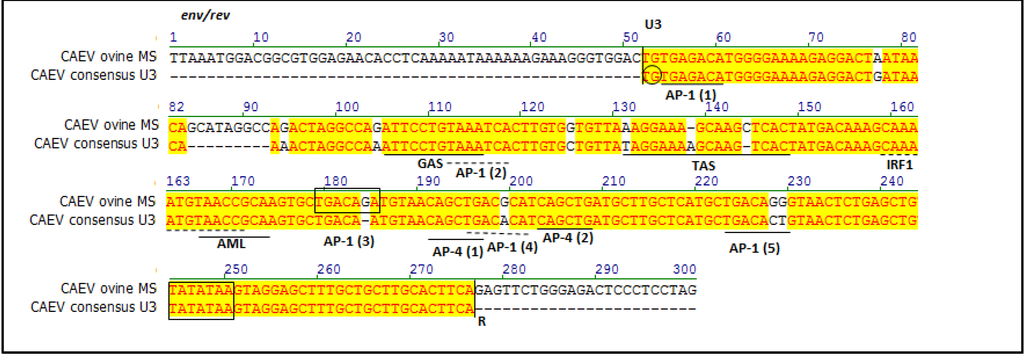Viruses 05 02005 g003 1024