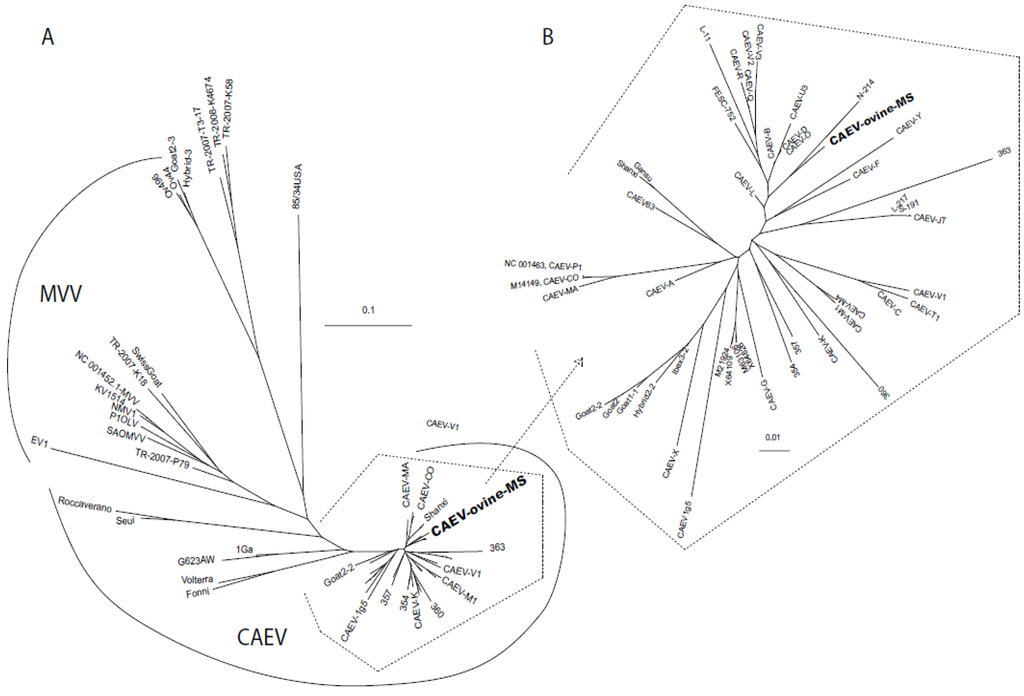 Viruses 05 02005 g004 1024