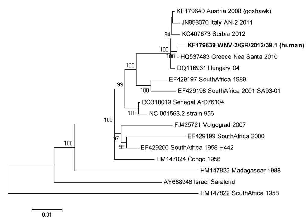 Viruses 05 02311 g001 1024