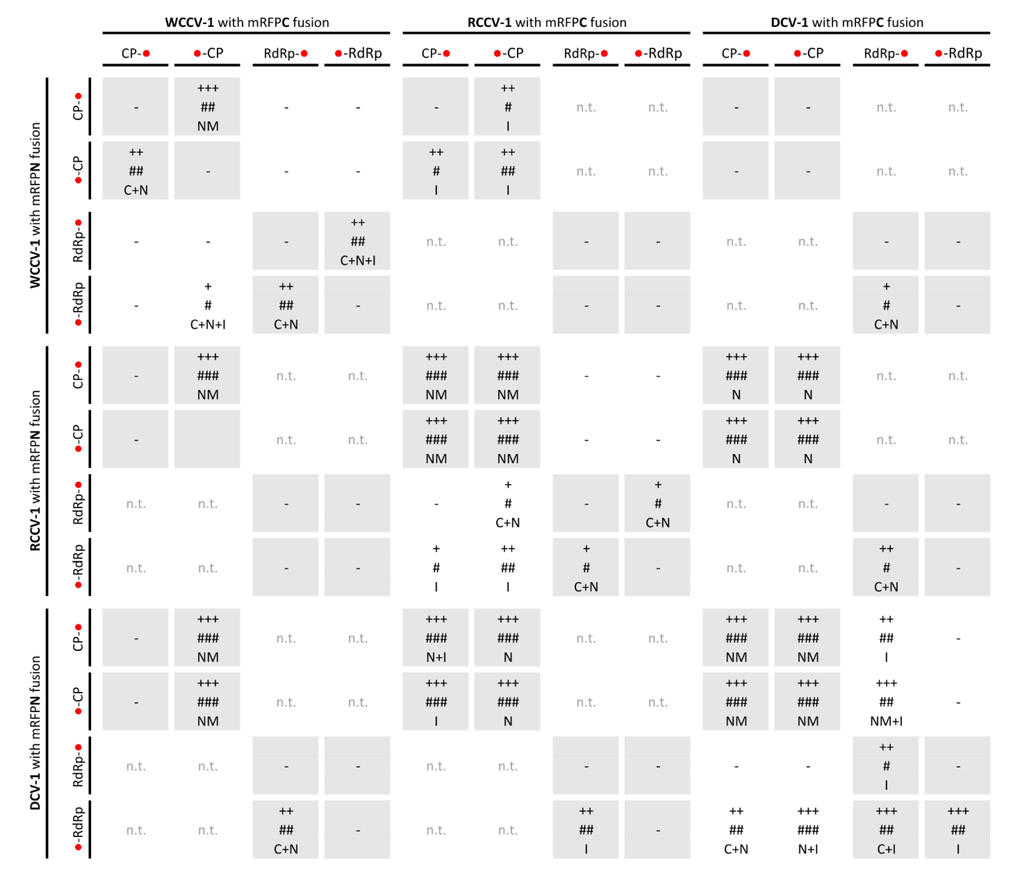 Viruses 05 02512 g001 1024