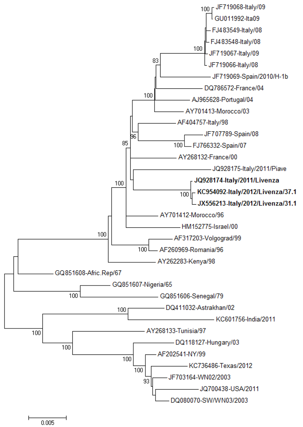 Viruses 05 02825 g003 1024