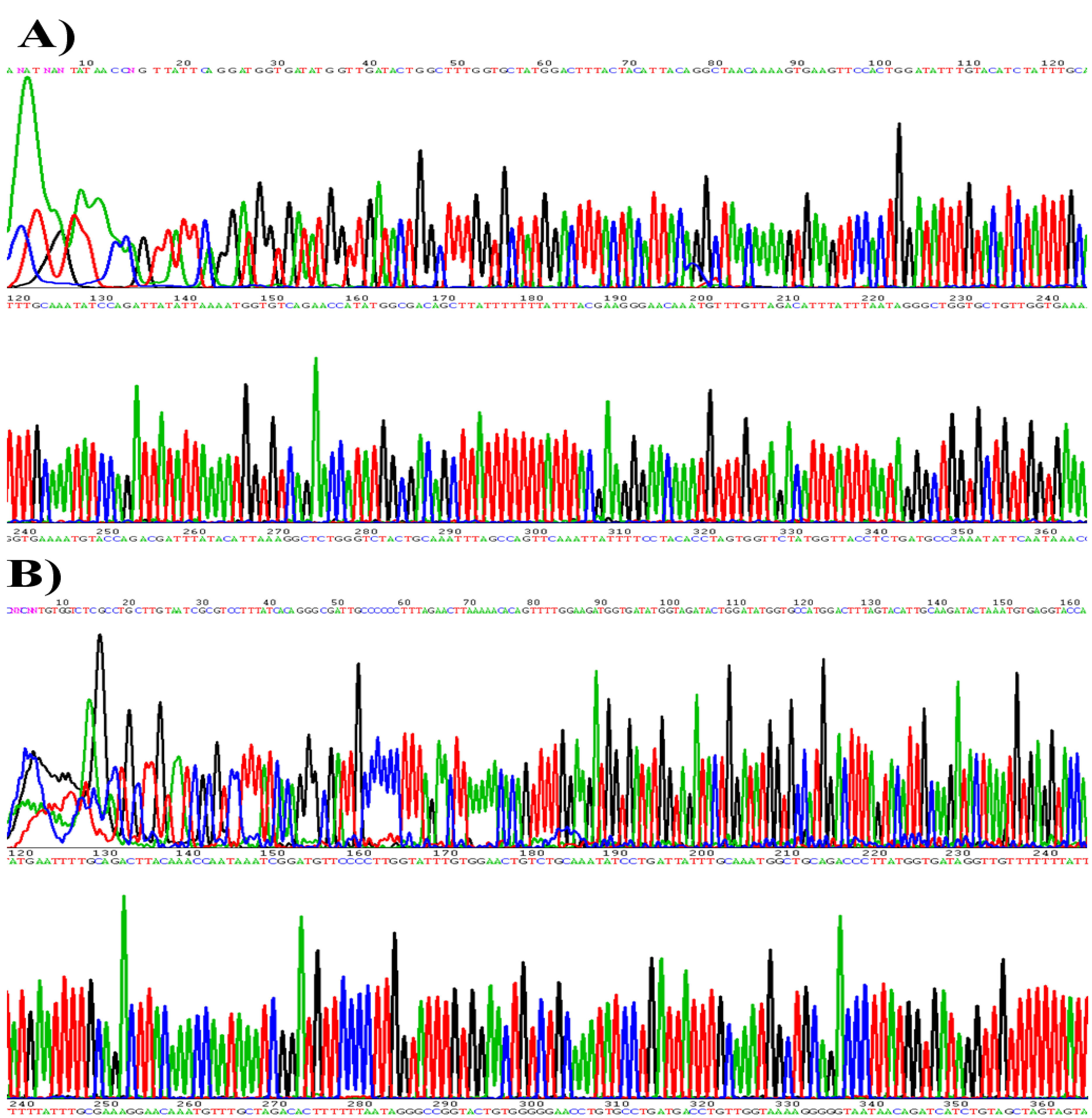 Viruses 05 02840 g001
