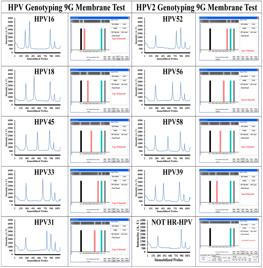 Viruses 05 02840 g002 1024