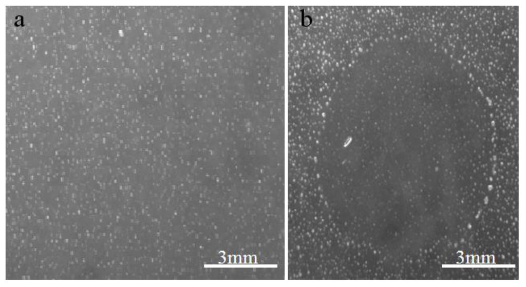 Viruses 05 02920 g001 1024