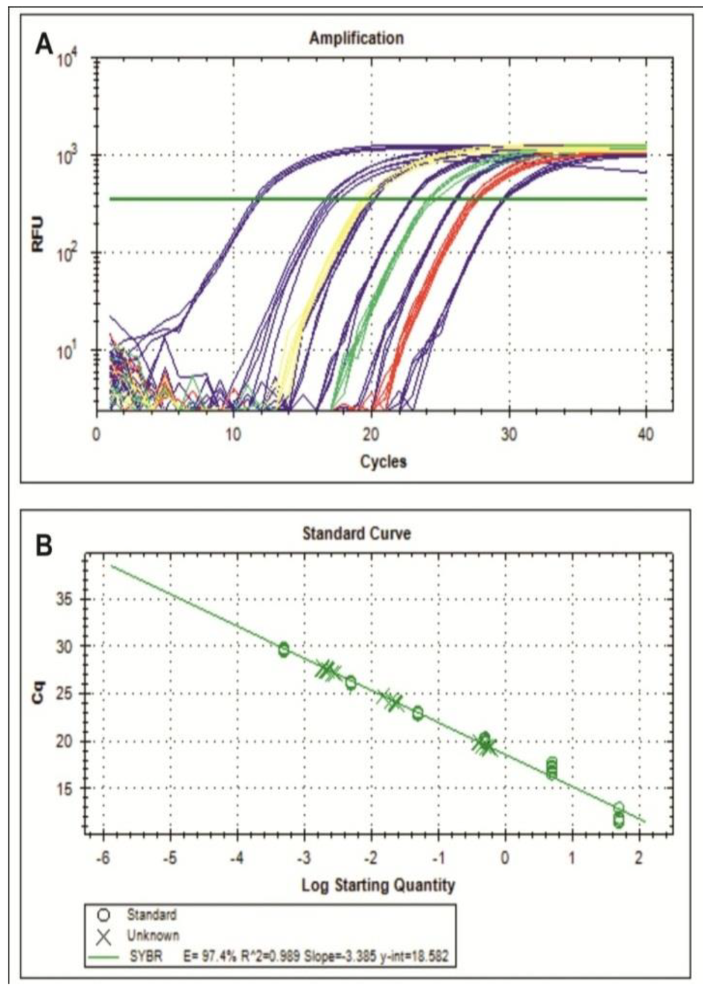 Viruses 05 02931 g002 1024