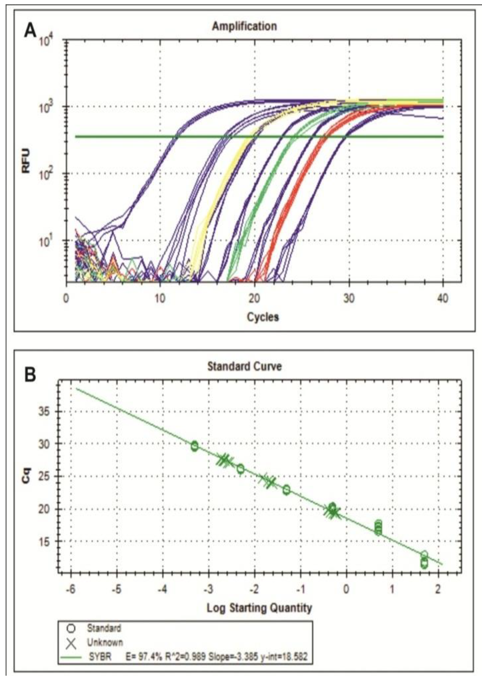 Viruses 05 02931 g002
