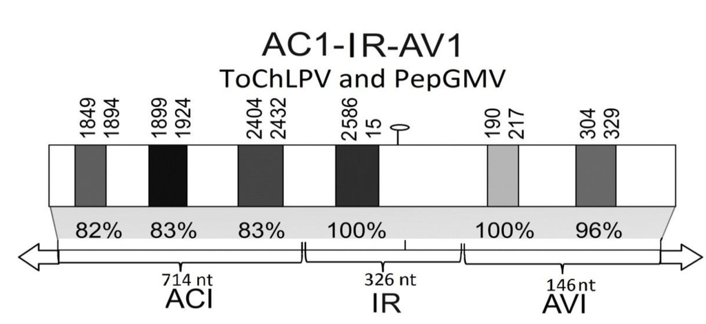 Viruses 05 02931 g003 1024