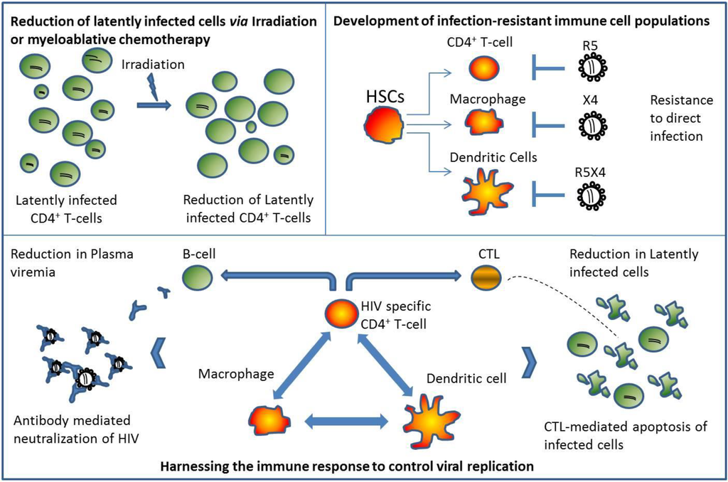 Viruses 05 02946 g002 1024