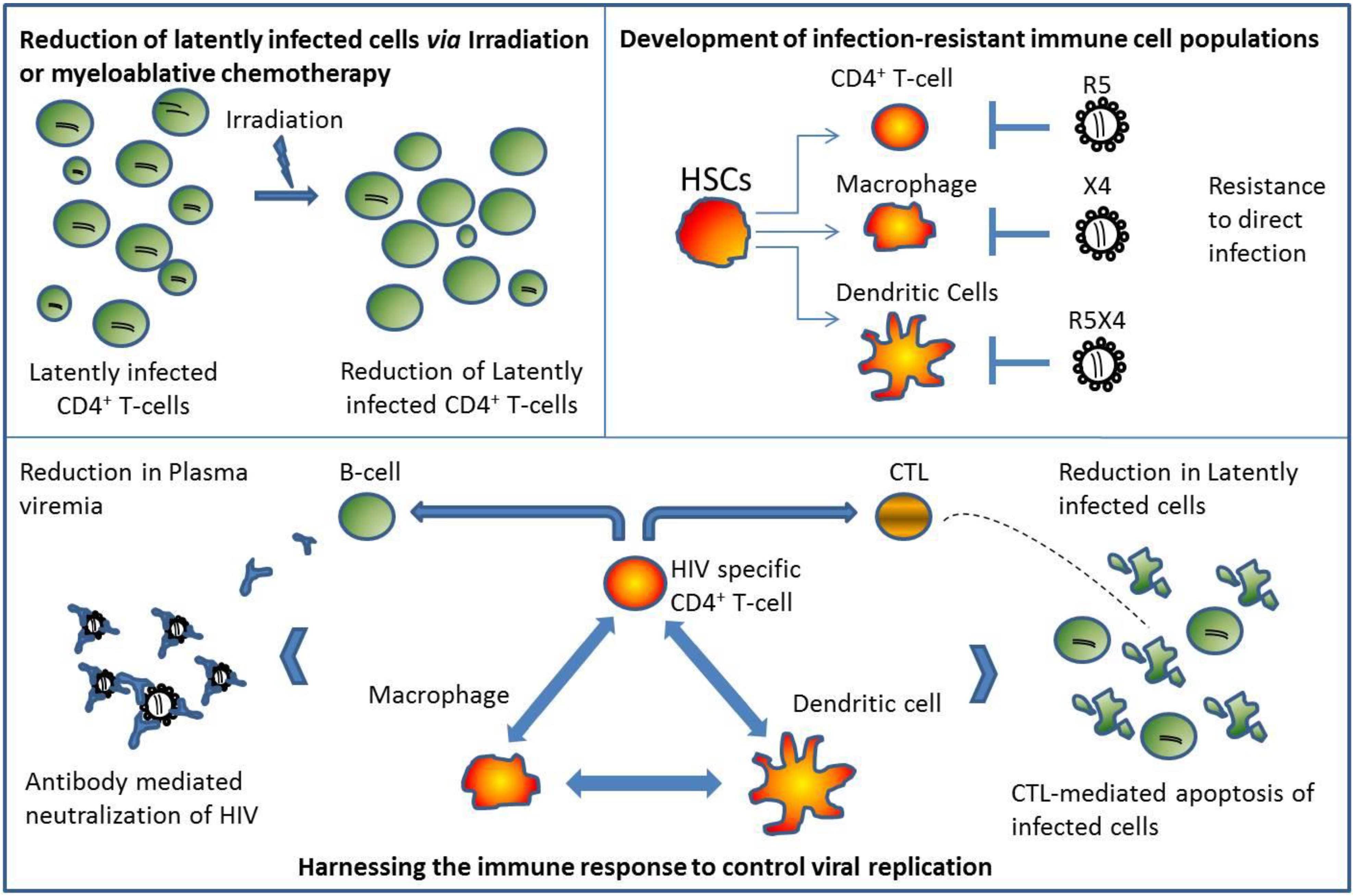 Viruses 05 02946 g002