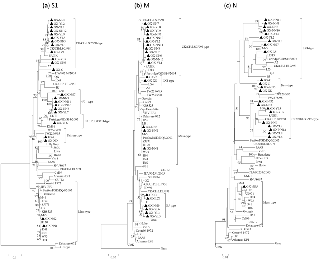 Viruses 05 03007 g001 1024