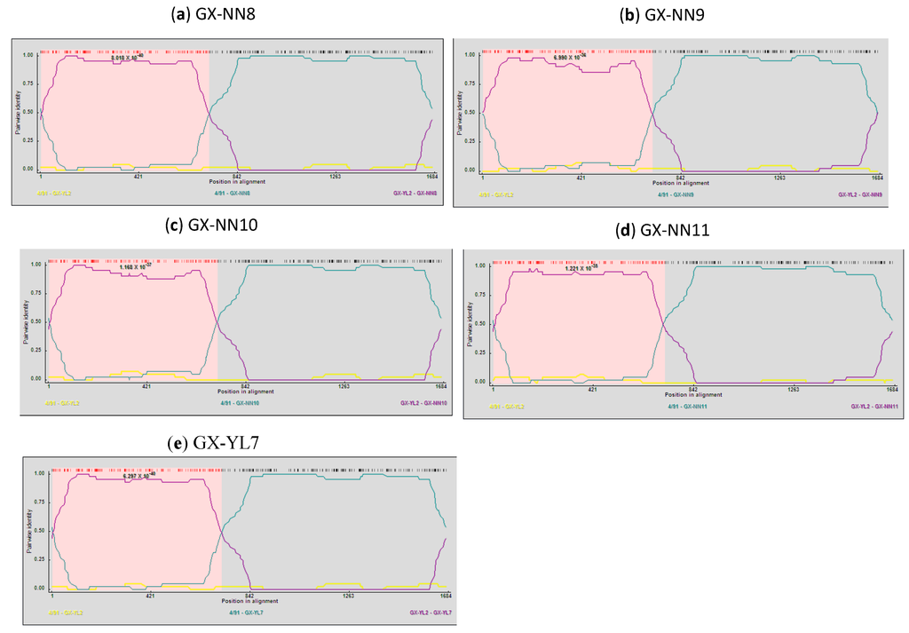 Viruses 05 03007 g003 1024