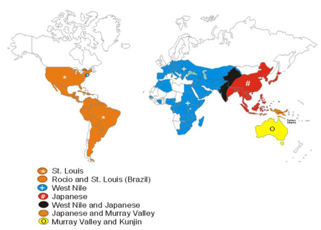 Viruses 05 03088 g001 1024