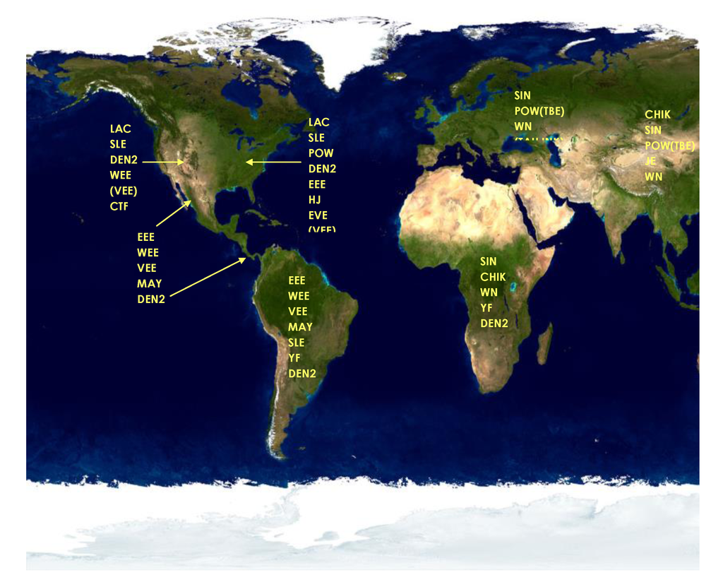 Viruses 05 03088 g002 1024