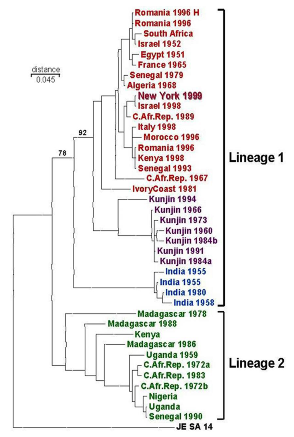 Viruses 05 03088 g003 1024