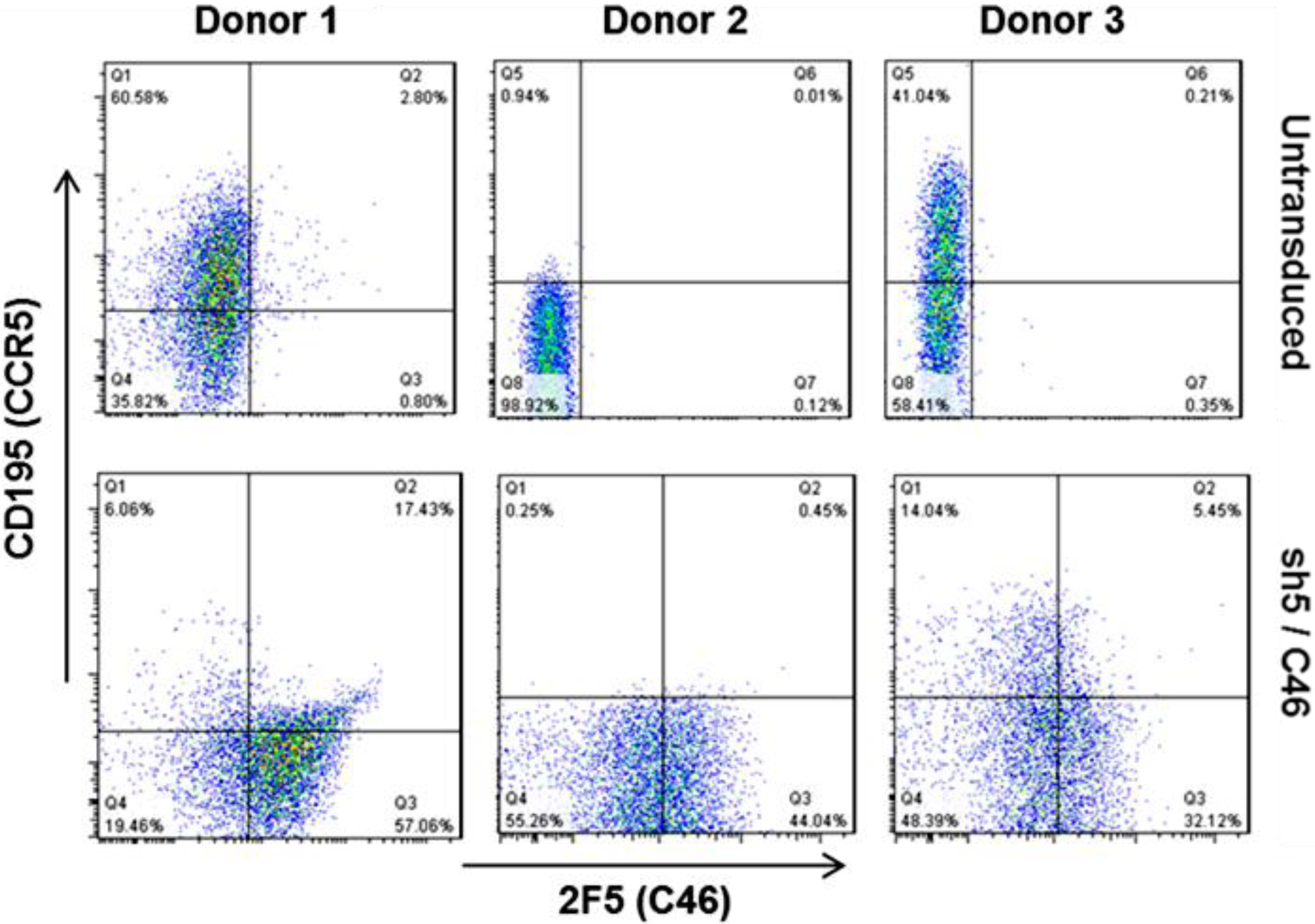 Viruses 06 00054 g002