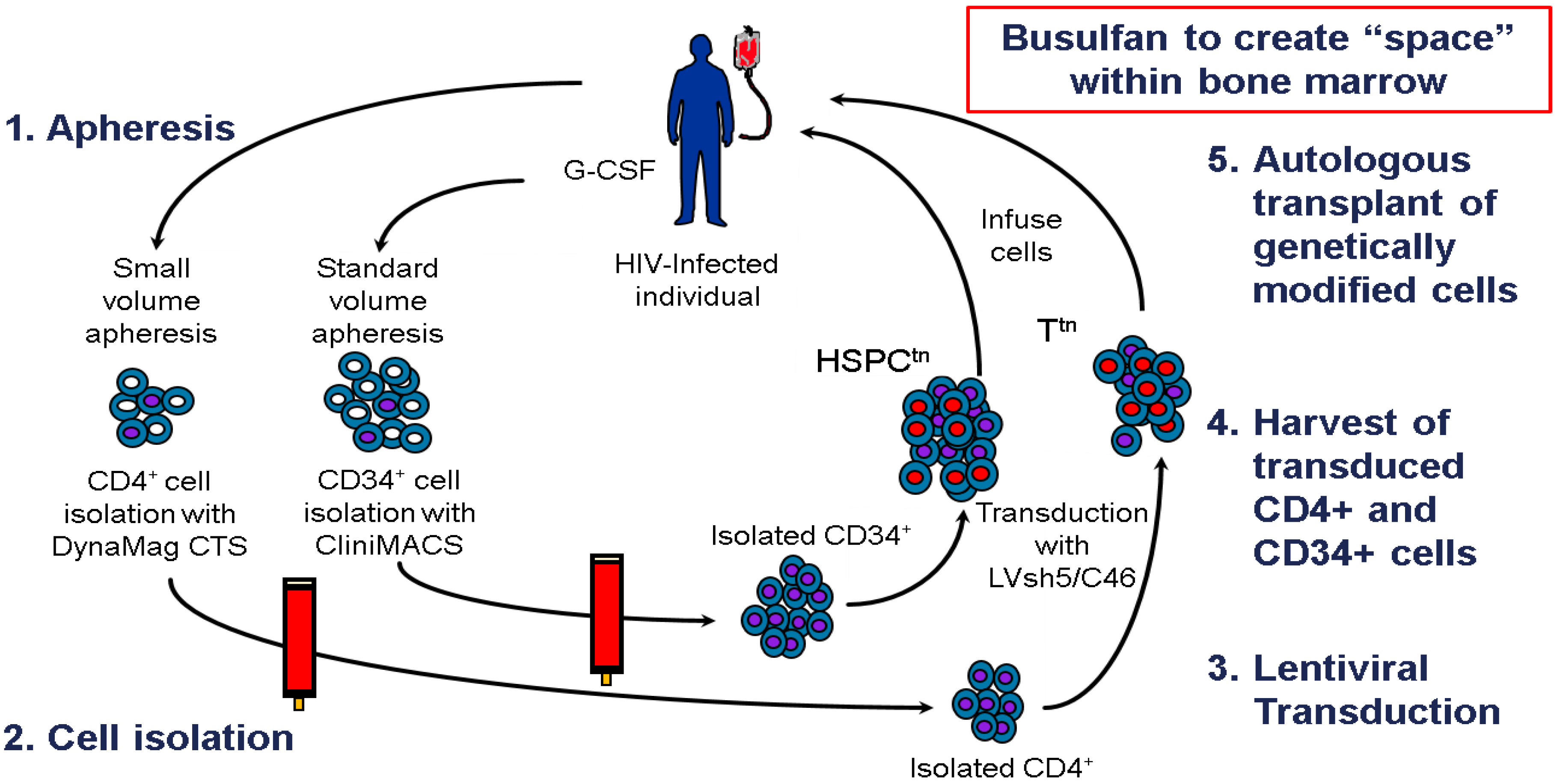 Viruses 06 00054 g003