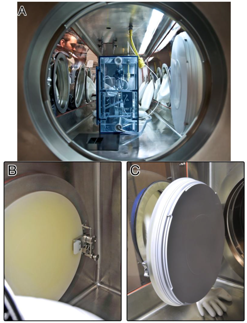 Viruses 06 00137 g004 1024