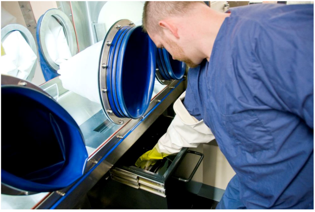 Viruses 06 00137 g007 1024