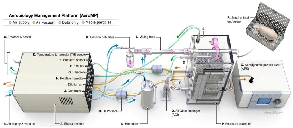 Viruses 06 00137 g008 1024