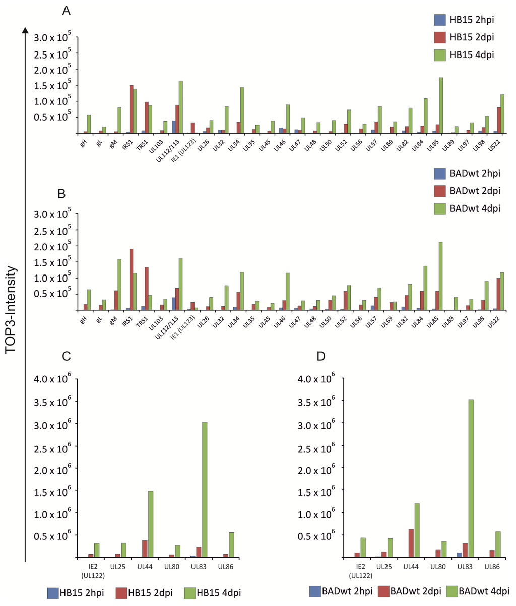 Viruses 06 00172 g002 1024