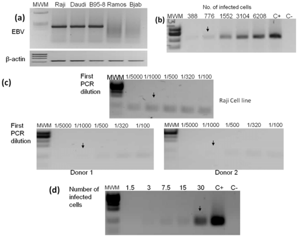 Viruses 06 00301 g001 1024