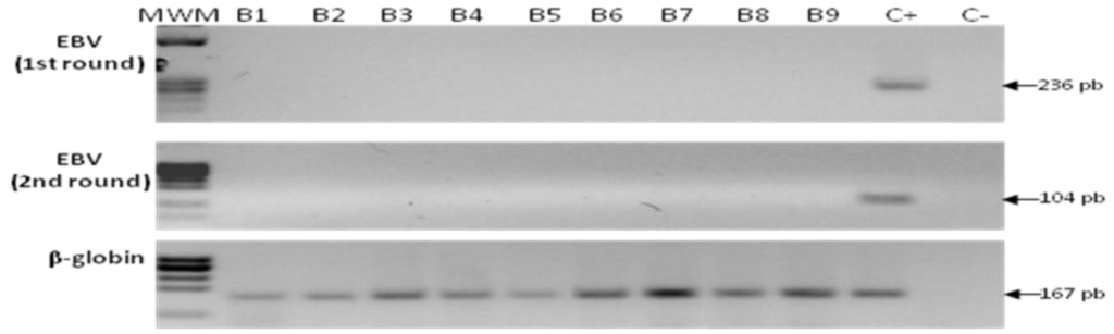 Viruses 06 00301 g004 1024