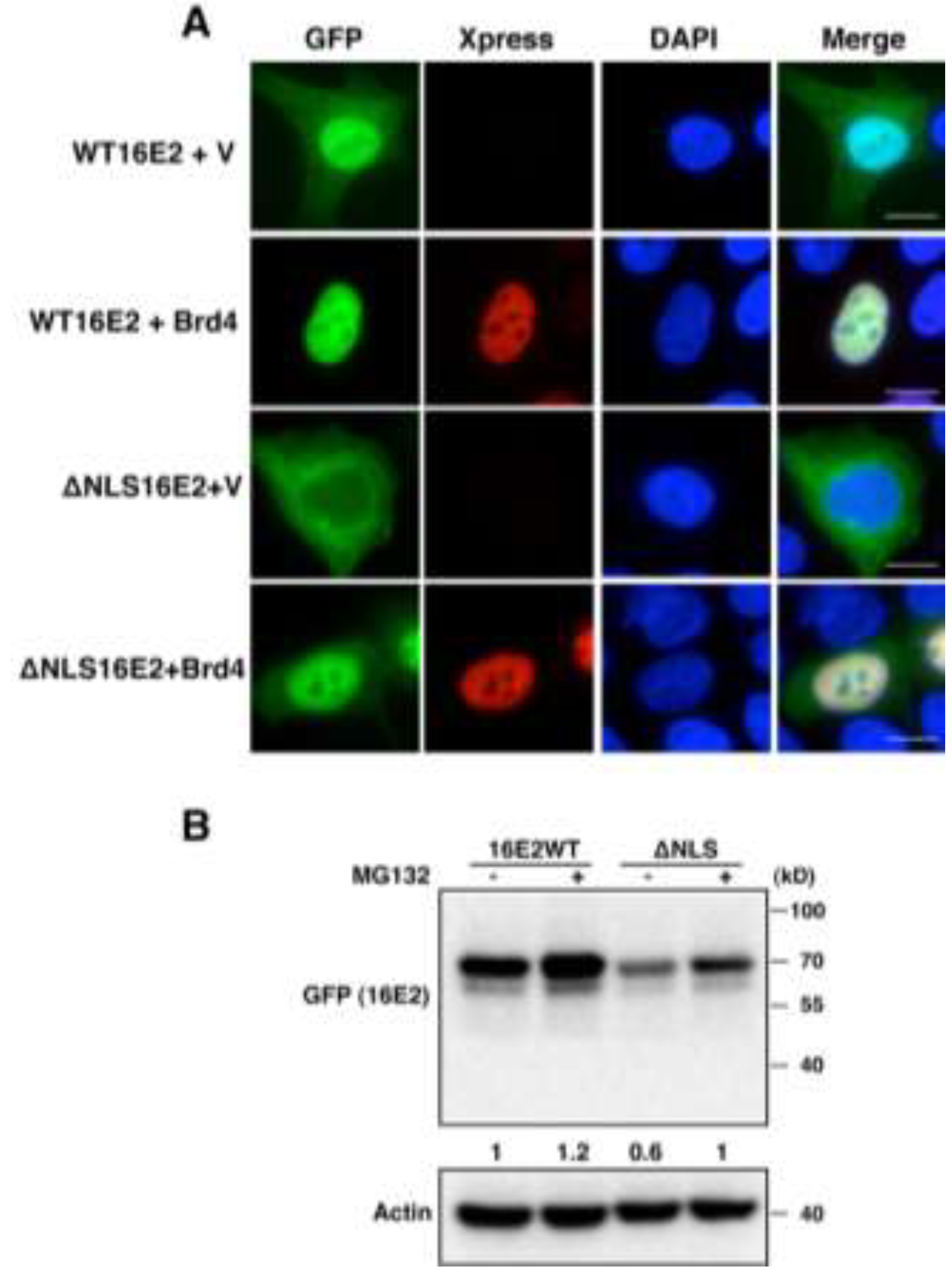 Viruses 06 00319 g002
