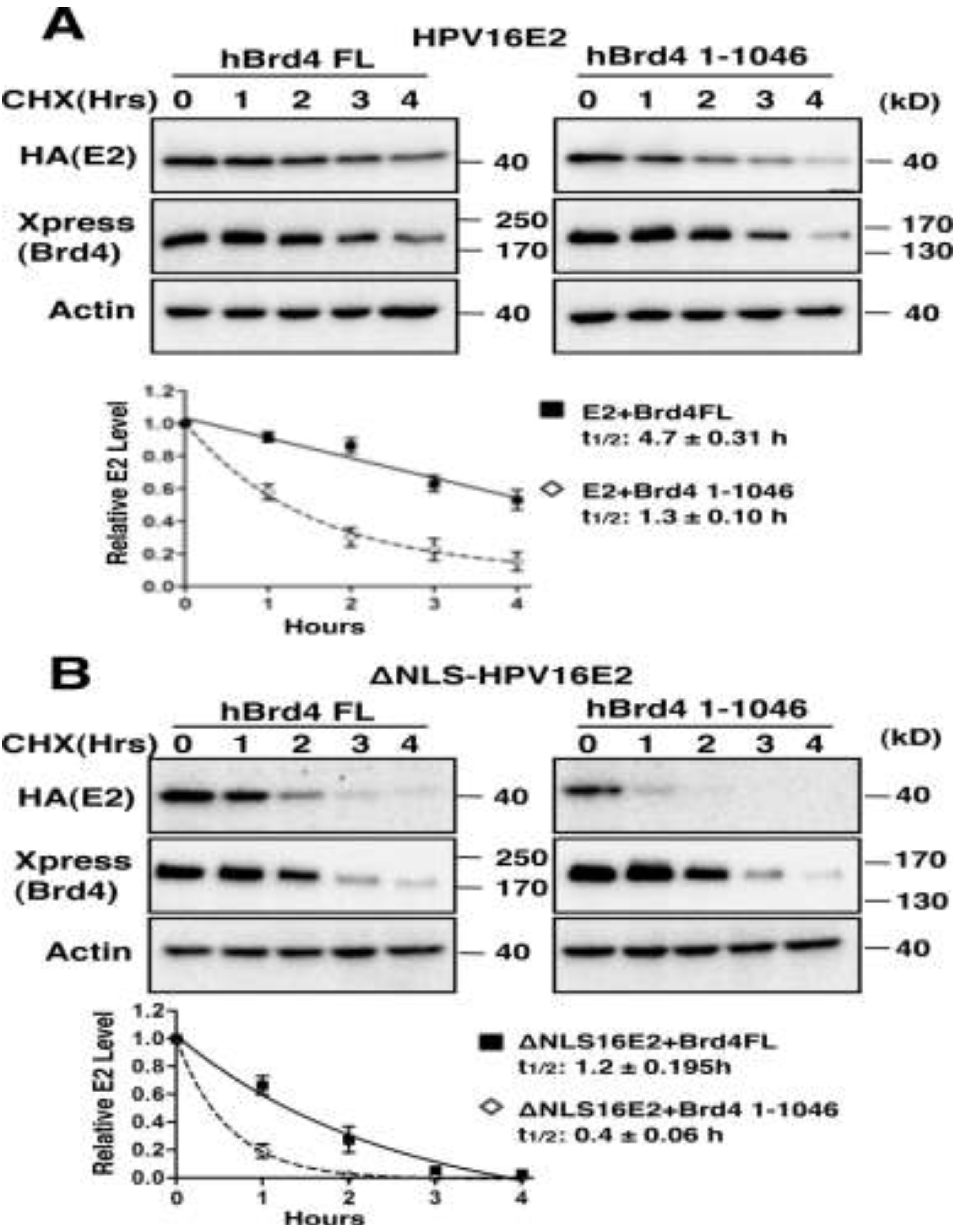 Viruses 06 00319 g003