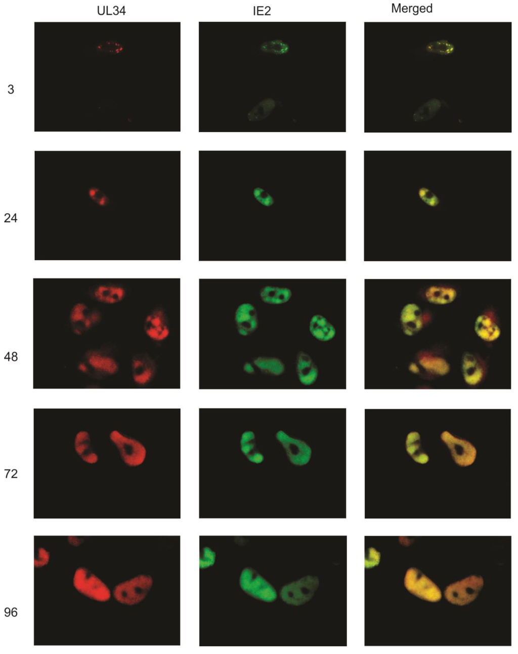 Viruses 06 00476 g002 1024