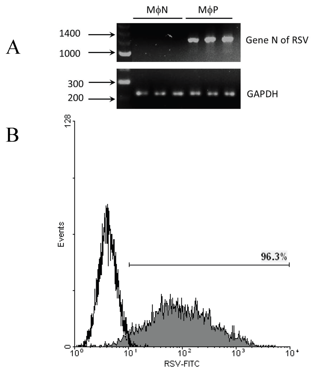 Viruses 06 00624 g001 1024
