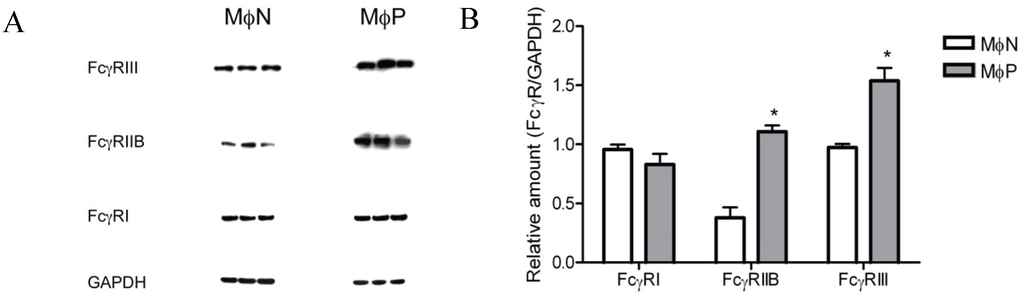 Viruses 06 00624 g006 1024