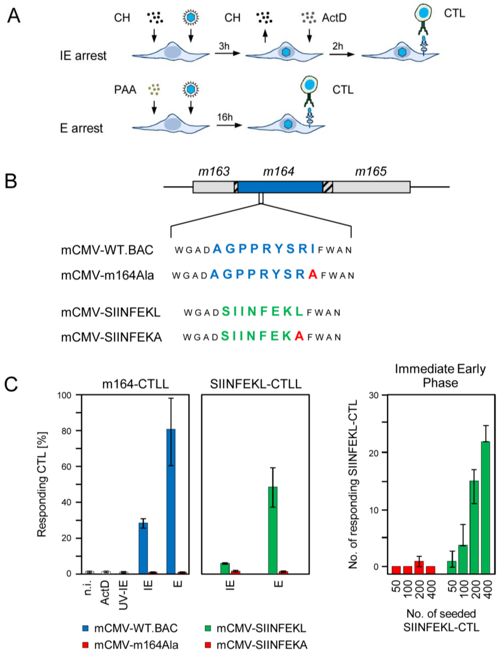 Viruses 06 00808 g001 1024