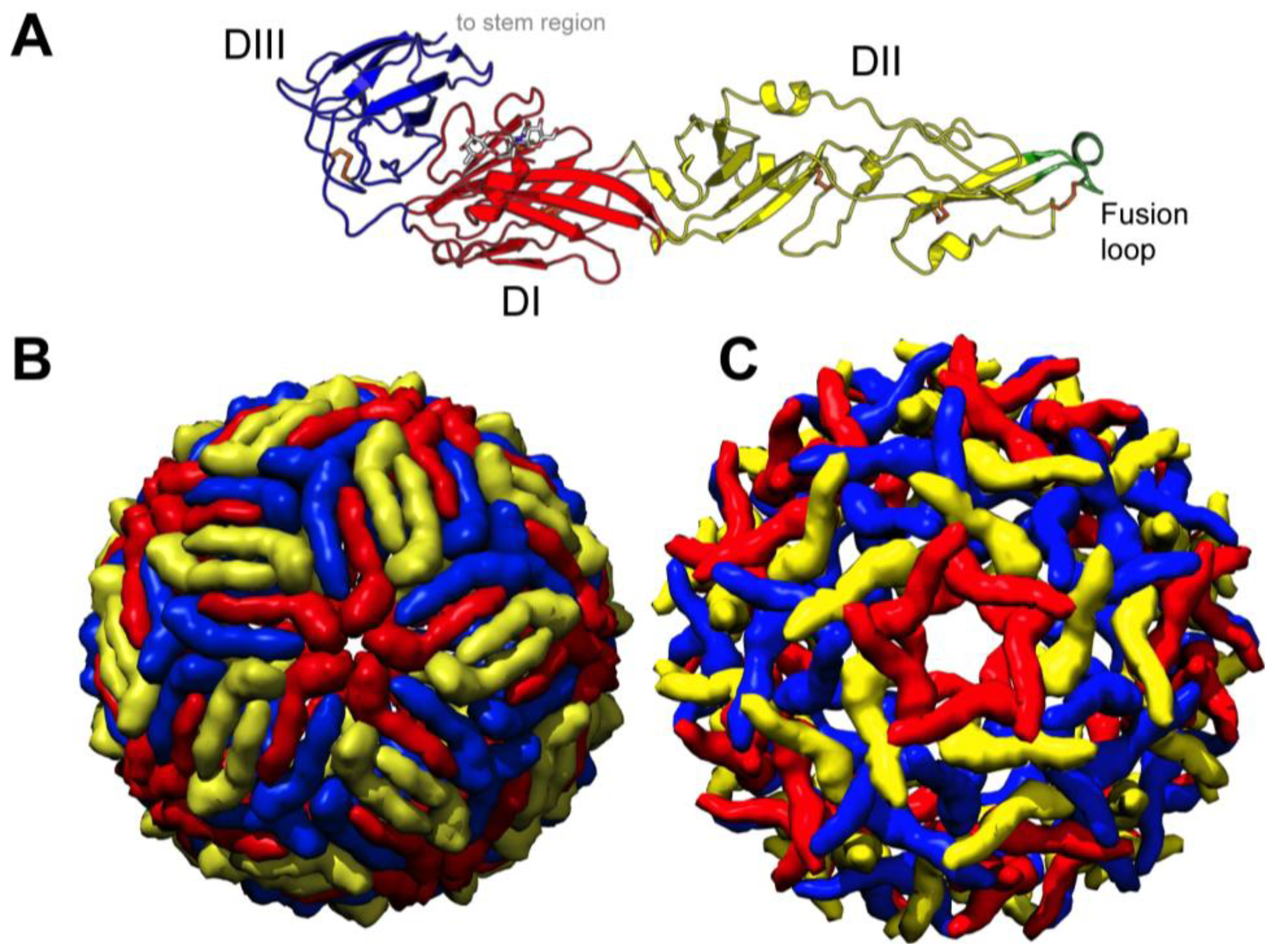 Viruses 06 01015 g001