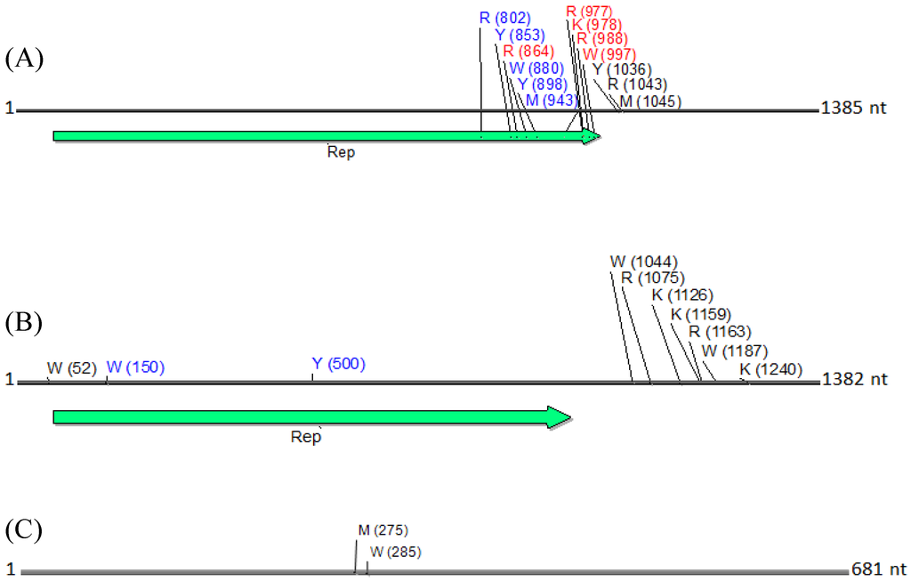 Viruses 06 01219 g008 1024