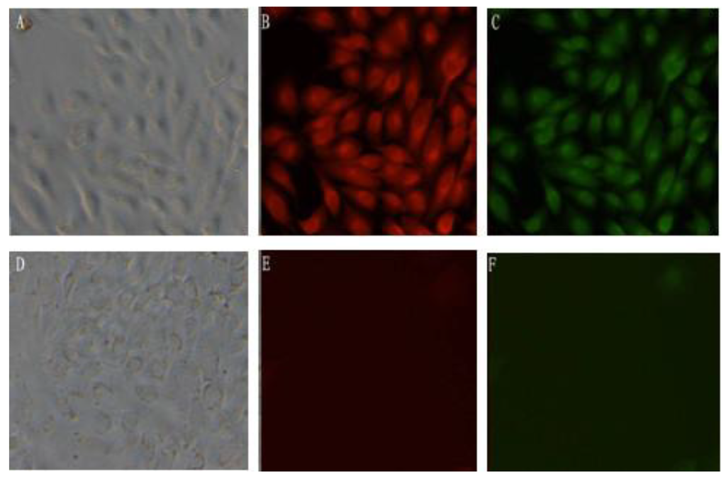 Viruses 06 01237 g002 1024