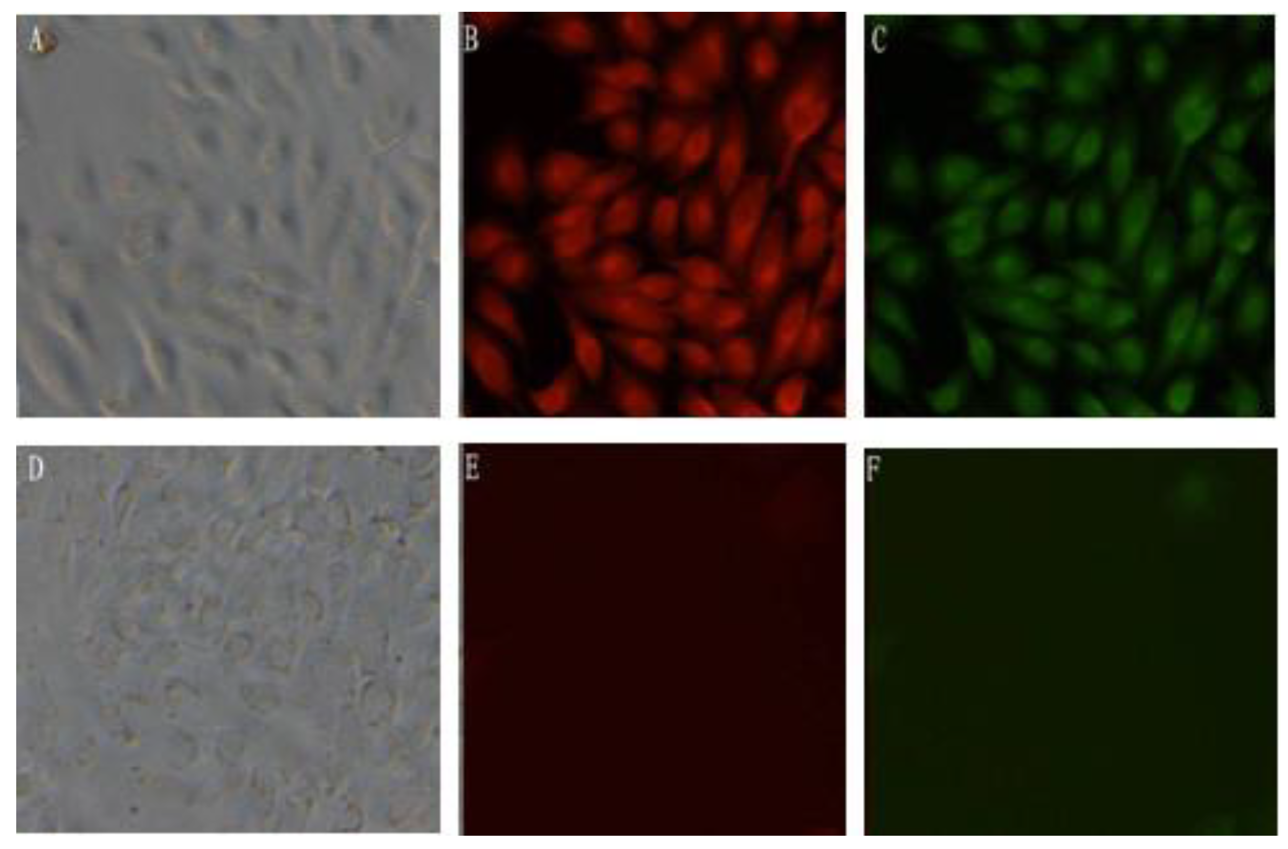 Viruses 06 01237 g002