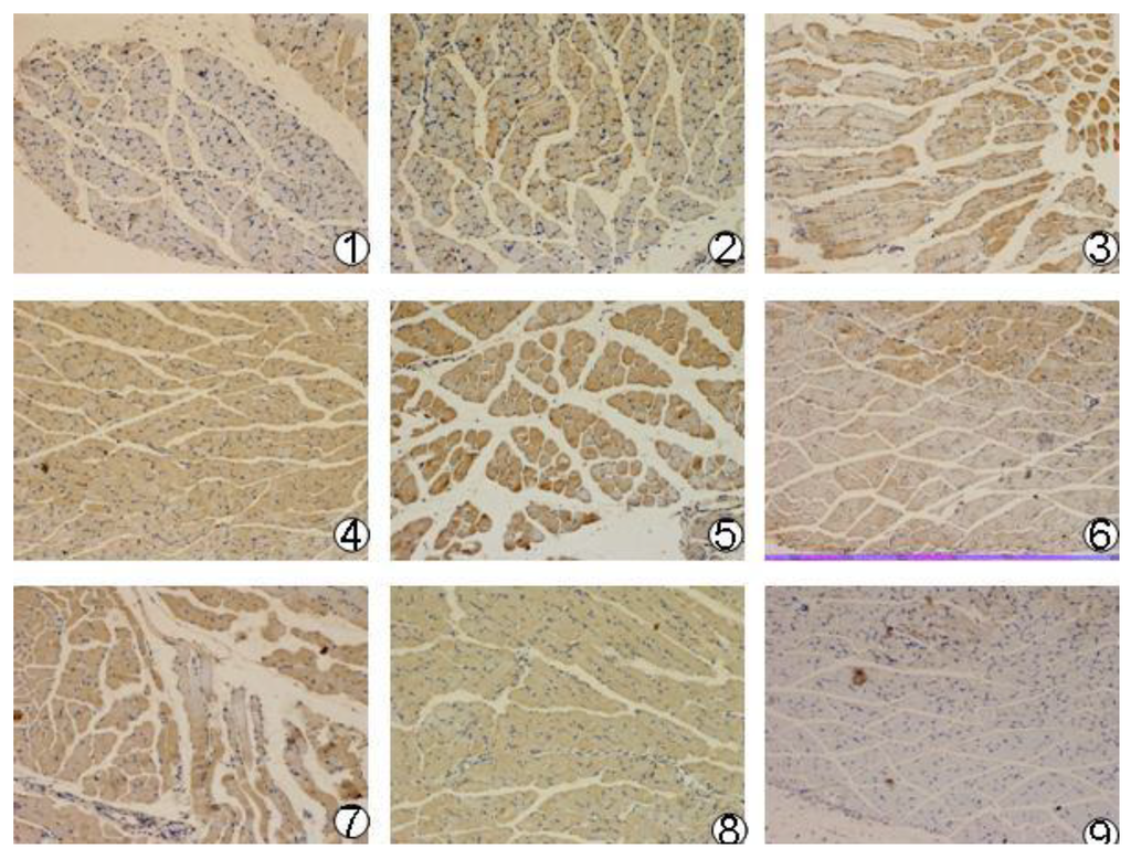 Viruses 06 01237 g003 1024