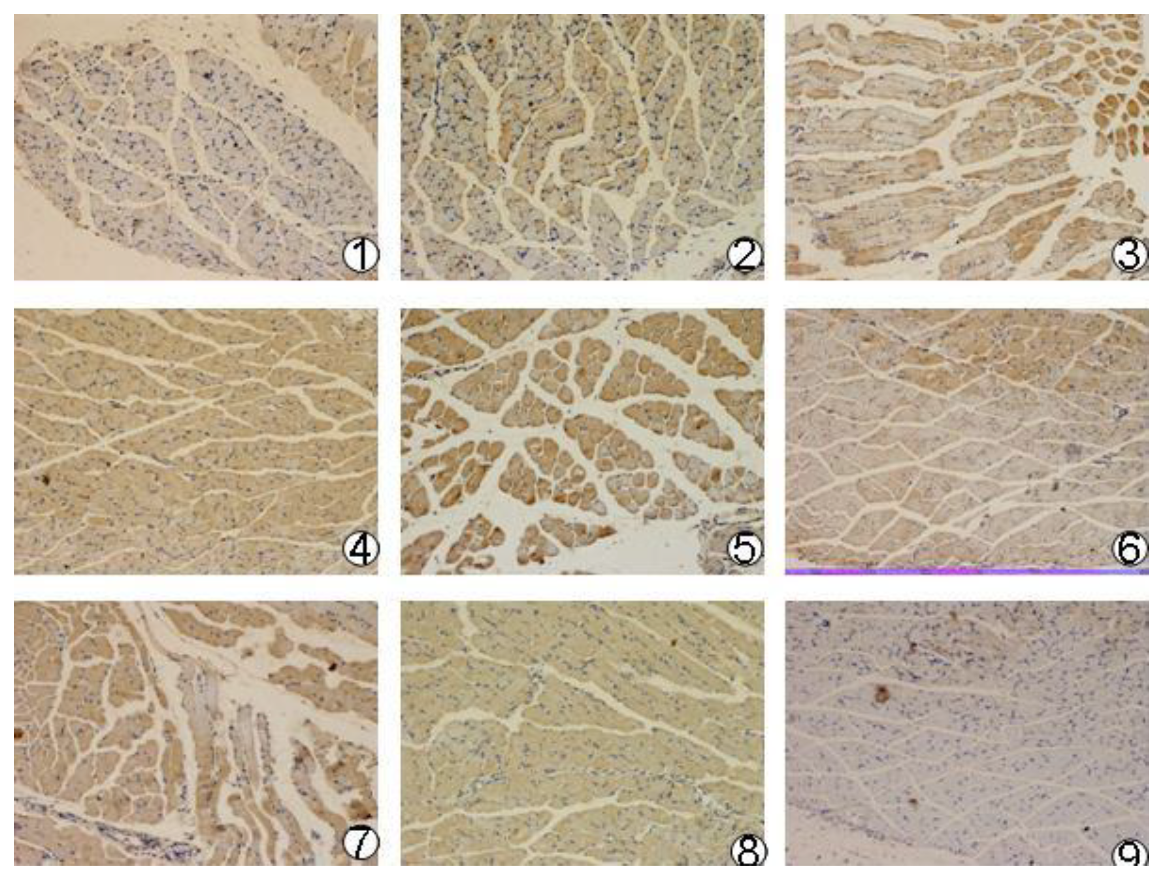 Viruses 06 01237 g003