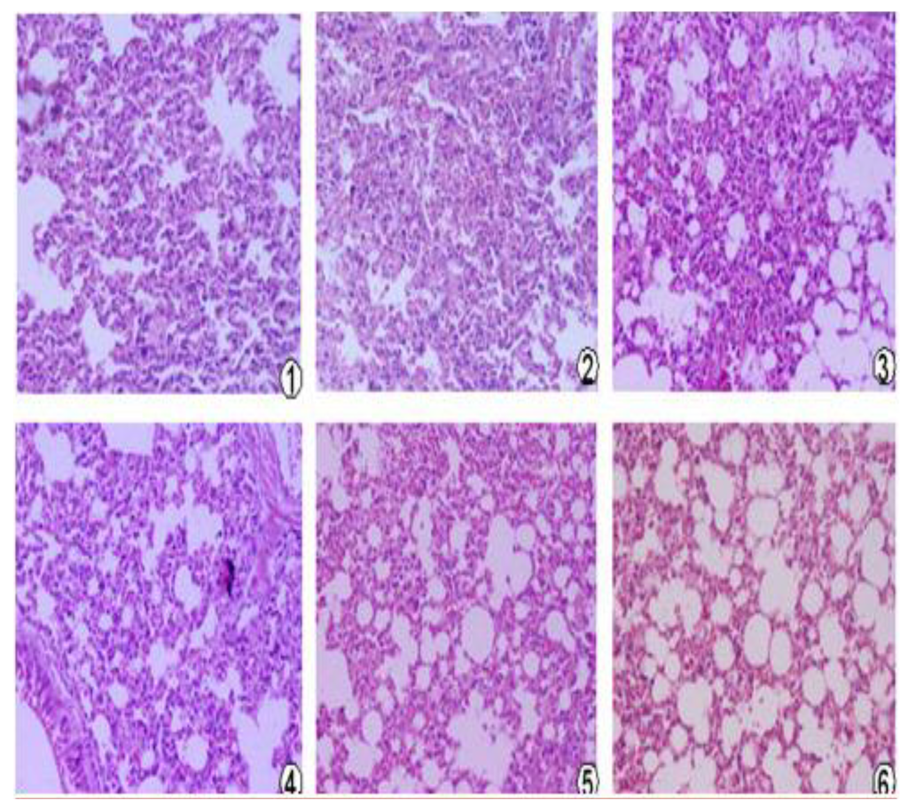 Viruses 06 01237 g005 1024