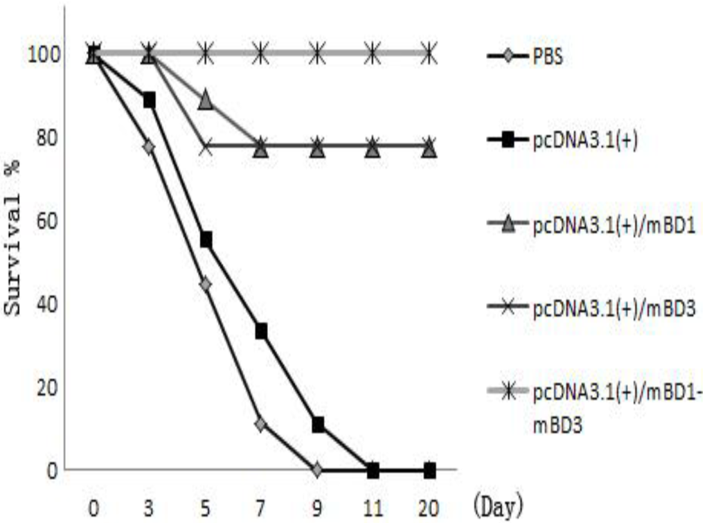 Viruses 06 01237 g006 1024