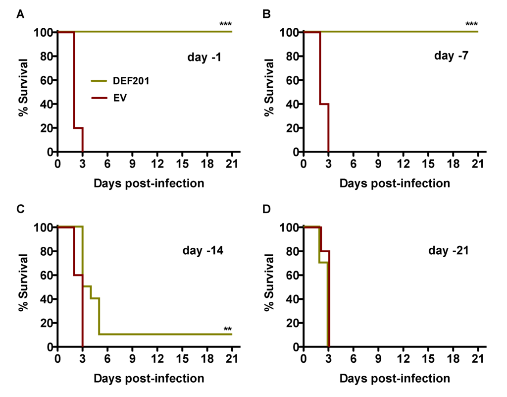 Viruses 06 01410 g001 1024