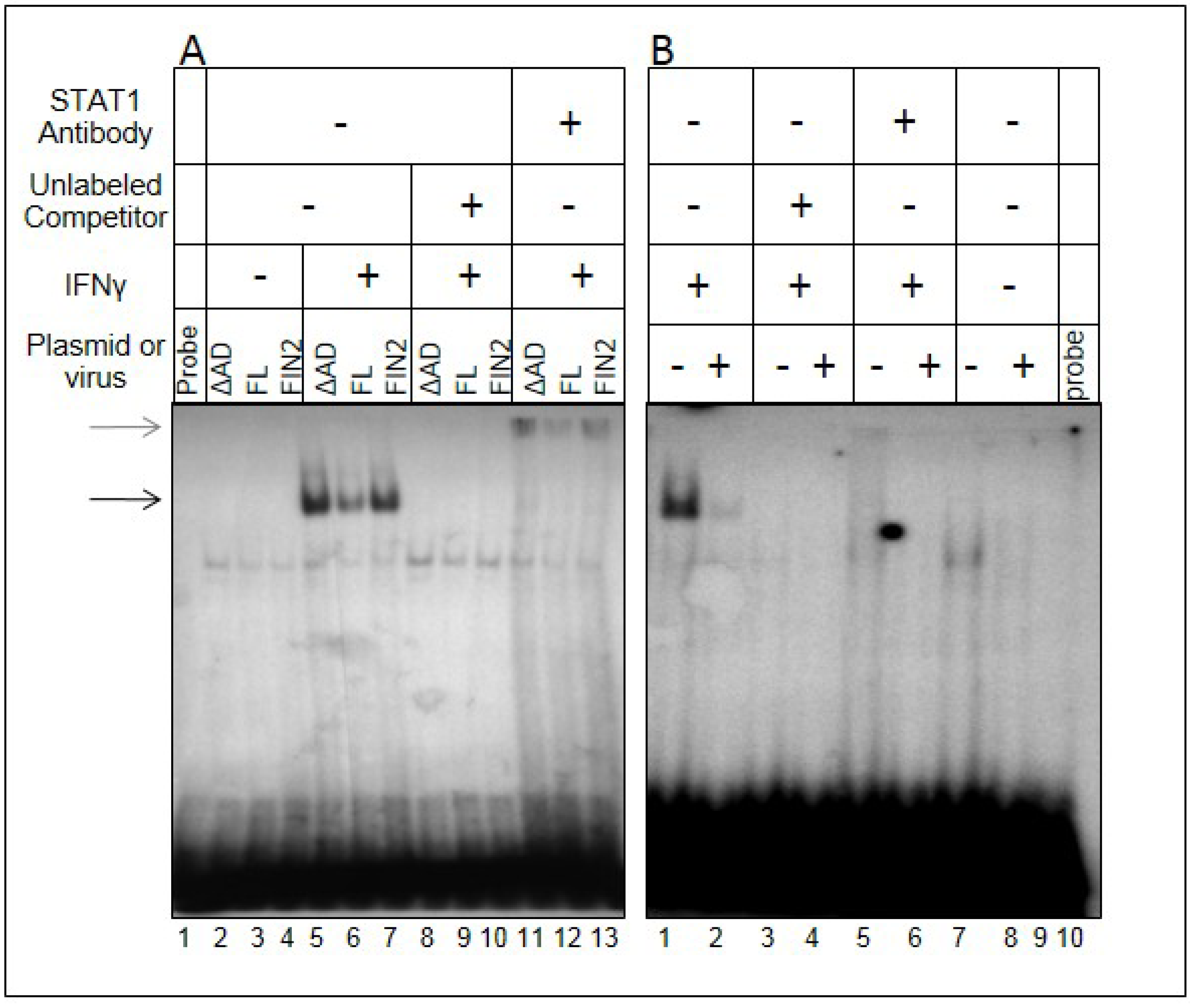 Viruses 06 01502 g006