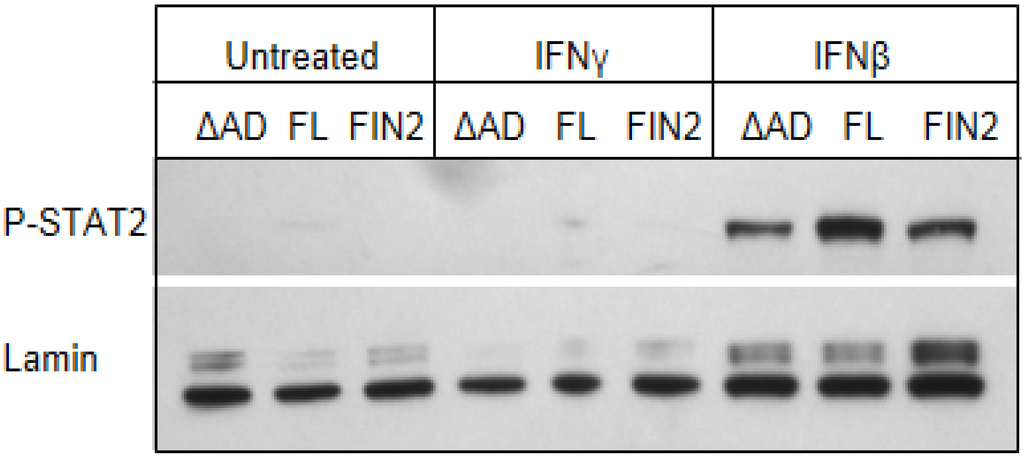 Viruses 06 01502 g008 1024