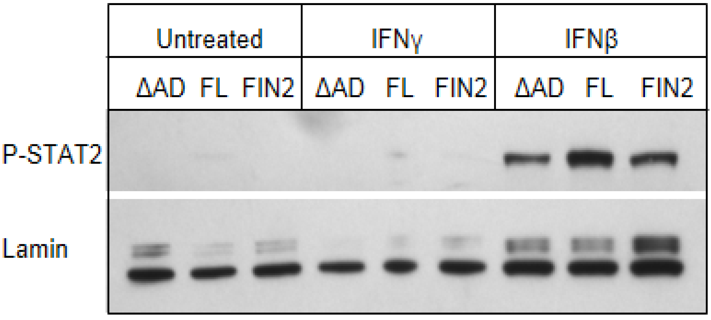 Viruses 06 01502 g008