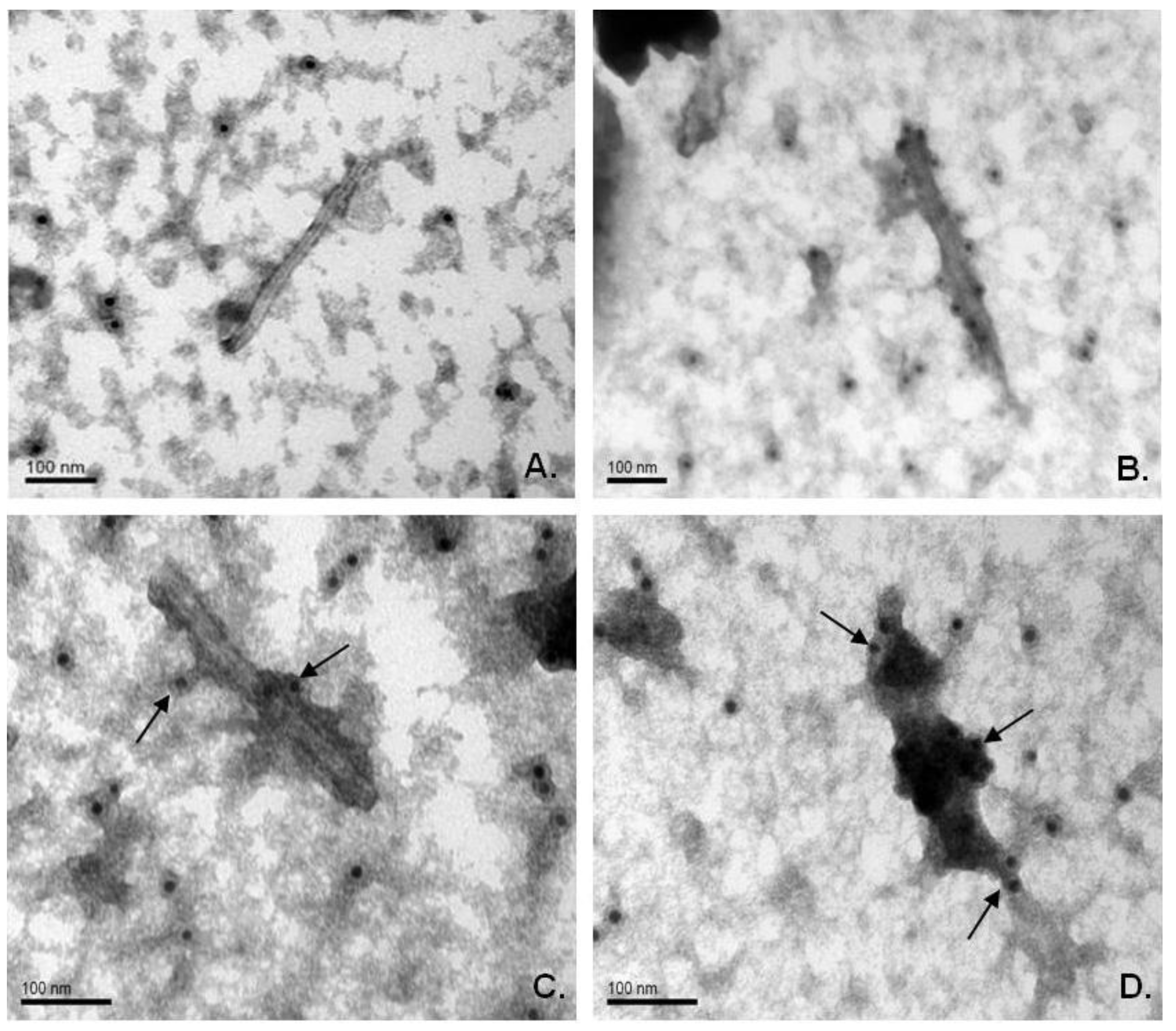 Viruses 06 01789 g005