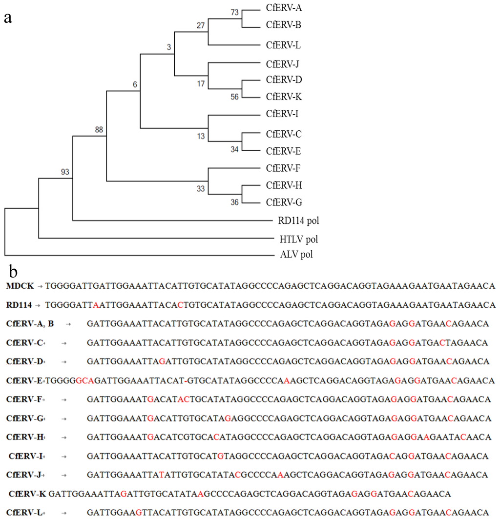Viruses 06 01876 g003 1024