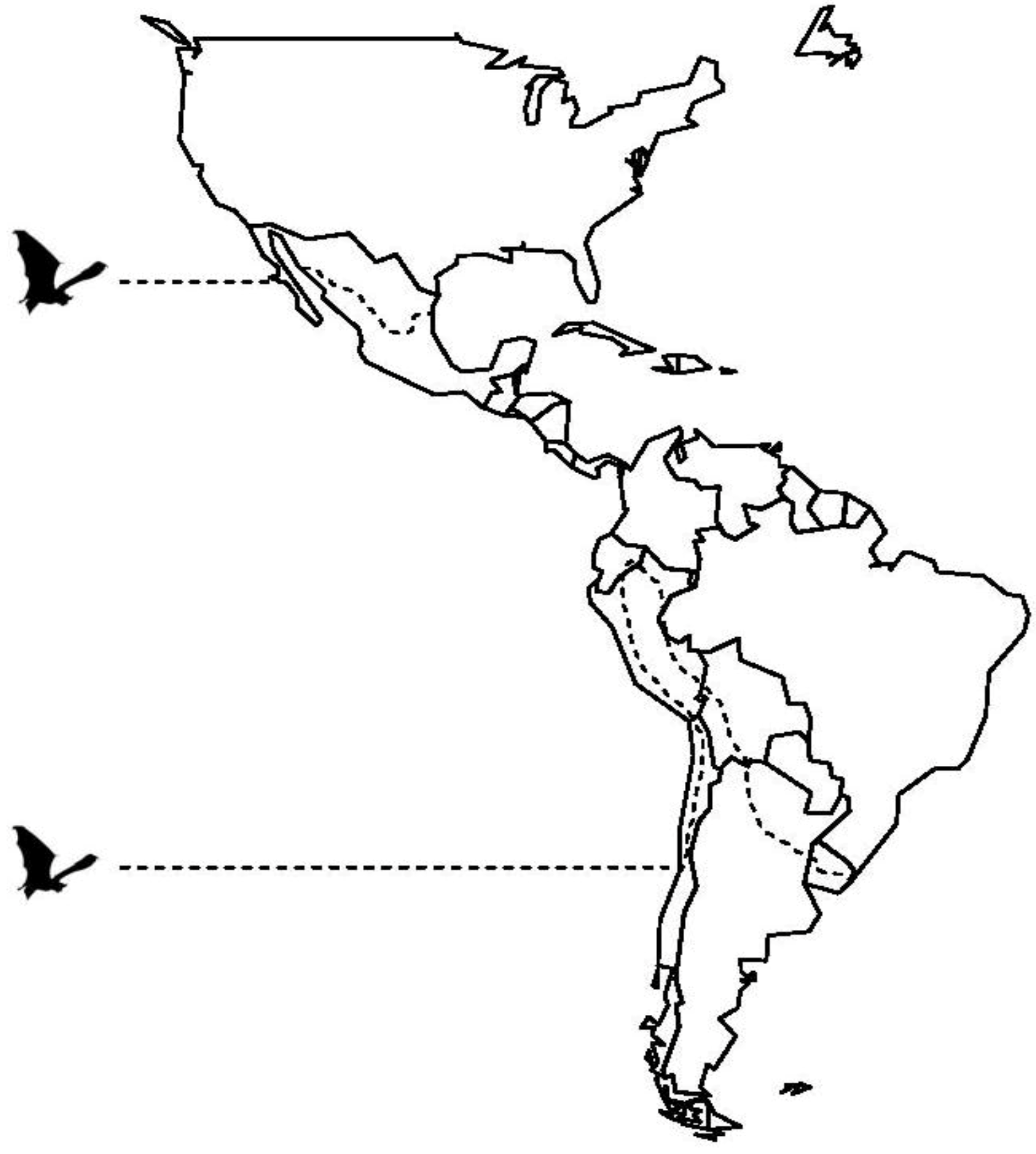 Viruses 06 01911 g002