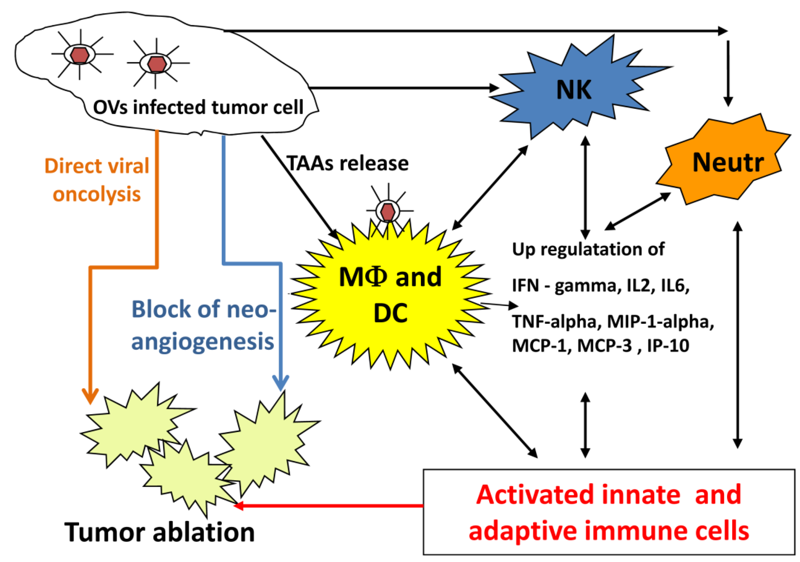 Viruses 06 02122 g001