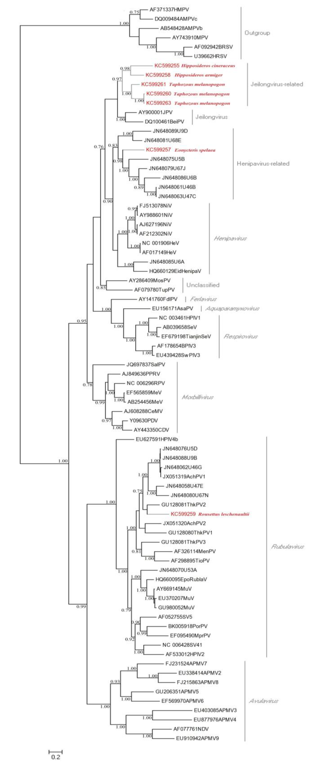 Viruses 06 02138 g001 1024